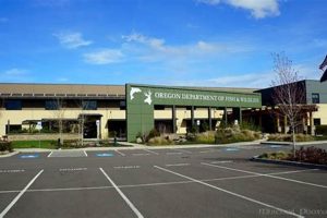 Find Oregon Department of Fish and Wildlife Jobs Today! Safem Fabrication - Precision Engineering & Custom Manufacturing Solutions Find Oregon Department of Fish and Wildlife Jobs Today! | Safem Fabrication - Precision Engineering & Custom Manufacturing Solutions