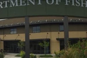 Find Oregon Fish & Wildlife Jobs: Careers Await! Safem Fabrication - Precision Engineering & Custom Manufacturing Solutions Find Oregon Fish & Wildlife Jobs: Careers Await! | Safem Fabrication - Precision Engineering & Custom Manufacturing Solutions