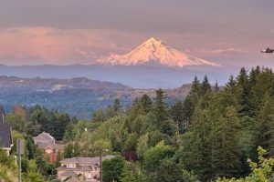 Find Top Jobs in Happy Valley, OR - Apply Now! Safem Fabrication - Precision Engineering & Custom Manufacturing Solutions Find Top Jobs in Happy Valley, OR - Apply Now! | Safem Fabrication - Precision Engineering & Custom Manufacturing Solutions