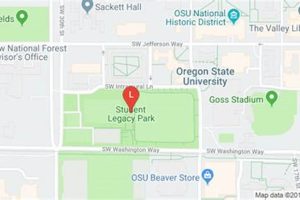Join Oregon State IM Leagues: Sports & Fun! Safem Fabrication - Precision Engineering & Custom Manufacturing Solutions Join Oregon State IM Leagues: Sports & Fun! | Safem Fabrication - Precision Engineering & Custom Manufacturing Solutions