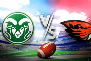CSU vs OSU: Picking the Right College (CO State vs Oregon State) Safem Fabrication - Precision Engineering & Custom Manufacturing Solutions CSU vs OSU: Picking the Right College (CO State vs Oregon State) | Safem Fabrication - Precision Engineering & Custom Manufacturing Solutions