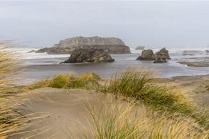 Explore Bandon State Natural Area Oregon: Coastal Beauty! Safem Fabrication - Precision Engineering & Custom Manufacturing Solutions Explore Bandon State Natural Area Oregon: Coastal Beauty! | Safem Fabrication - Precision Engineering & Custom Manufacturing Solutions