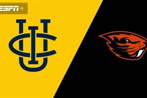 UC Irvine vs Oregon State: Which is Best For YOU? Safem Fabrication - Precision Engineering & Custom Manufacturing Solutions UC Irvine vs Oregon State: Which is Best For YOU? | Safem Fabrication - Precision Engineering & Custom Manufacturing Solutions