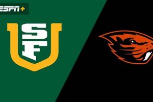 USF vs Oregon State: Game Day Guide & Results Safem Fabrication - Precision Engineering & Custom Manufacturing Solutions USF vs Oregon State: Game Day Guide & Results | Safem Fabrication - Precision Engineering & Custom Manufacturing Solutions
