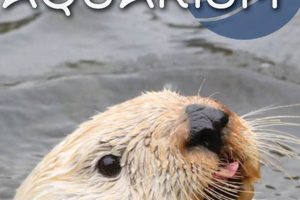 Get Oregon Coast Aquarium Discount Tickets Now! Safem Fabrication - Precision Engineering & Custom Manufacturing Solutions Get Oregon Coast Aquarium Discount Tickets Now! | Safem Fabrication - Precision Engineering & Custom Manufacturing Solutions