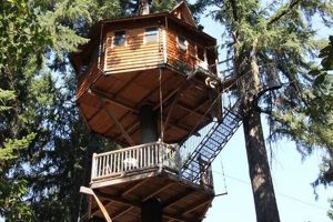 Oregon Treehouse Hotels: Unique Stays & Escapes Safem Fabrication - Precision Engineering & Custom Manufacturing Solutions Oregon Treehouse Hotels: Unique Stays & Escapes | Safem Fabrication - Precision Engineering & Custom Manufacturing Solutions