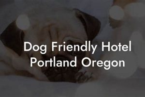 Top Dog-Friendly Hotels in Portland, OR: Your Guide Safem Fabrication - Precision Engineering & Custom Manufacturing Solutions Top Dog-Friendly Hotels in Portland, OR: Your Guide | Safem Fabrication - Precision Engineering & Custom Manufacturing Solutions