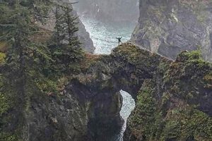 Hike the Magical Hobbit Trail: Oregon Coast Adventures Safem Fabrication - Precision Engineering & Custom Manufacturing Solutions Hike the Magical Hobbit Trail: Oregon Coast Adventures | Safem Fabrication - Precision Engineering & Custom Manufacturing Solutions