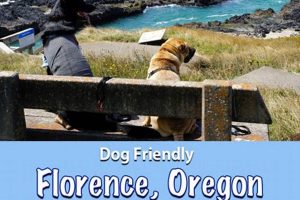Find: Pet Friendly Hotels in Florence, OR! Safem Fabrication - Precision Engineering & Custom Manufacturing Solutions Find: Pet Friendly Hotels in Florence, OR! | Safem Fabrication - Precision Engineering & Custom Manufacturing Solutions