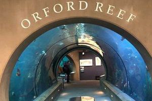 Find: Hotels Near Oregon Coast Aquarium Newport, Now! Safem Fabrication - Precision Engineering & Custom Manufacturing Solutions Find: Hotels Near Oregon Coast Aquarium Newport, Now! | Safem Fabrication - Precision Engineering & Custom Manufacturing Solutions