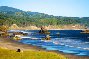 Find: Port Orford Oregon Hotels | Coastal Stays Safem Fabrication - Precision Engineering & Custom Manufacturing Solutions Find: Port Orford Oregon Hotels | Coastal Stays | Safem Fabrication - Precision Engineering & Custom Manufacturing Solutions