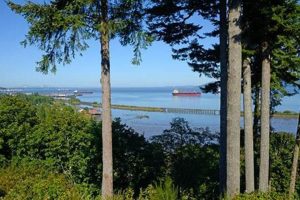 Best Pet Friendly Hotels in Astoria, OR: Your Guide! Safem Fabrication - Precision Engineering & Custom Manufacturing Solutions Best Pet Friendly Hotels in Astoria, OR: Your Guide! | Safem Fabrication - Precision Engineering & Custom Manufacturing Solutions