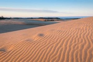 Explore Dunes City, Oregon: Sand & Serenity Await Safem Fabrication - Precision Engineering & Custom Manufacturing Solutions Explore Dunes City, Oregon: Sand & Serenity Await | Safem Fabrication - Precision Engineering & Custom Manufacturing Solutions