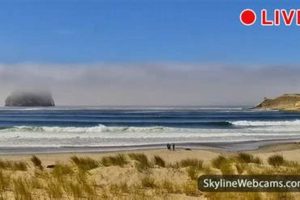 Live Webcam Pacific City Oregon Views & Weather Safem Fabrication - Precision Engineering & Custom Manufacturing Solutions Live Webcam Pacific City Oregon Views & Weather | Safem Fabrication - Precision Engineering & Custom Manufacturing Solutions