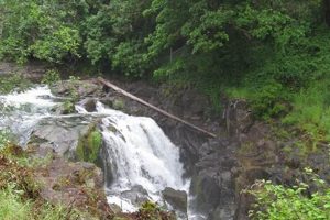 Discover Falls City, Oregon: Waterfalls & History Safem Fabrication - Precision Engineering & Custom Manufacturing Solutions Discover Falls City, Oregon: Waterfalls & History | Safem Fabrication - Precision Engineering & Custom Manufacturing Solutions