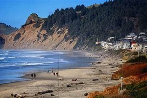 Your Guide: Dog Friendly Camping Near Lincoln City, Oregon! Safem Fabrication - Precision Engineering & Custom Manufacturing Solutions Your Guide: Dog Friendly Camping Near Lincoln City, Oregon! | Safem Fabrication - Precision Engineering & Custom Manufacturing Solutions