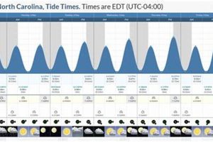 Lincoln City Tides: Oregon's Best Tide Tables & Times Safem Fabrication - Precision Engineering & Custom Manufacturing Solutions Lincoln City Tides: Oregon's Best Tide Tables & Times | Safem Fabrication - Precision Engineering & Custom Manufacturing Solutions