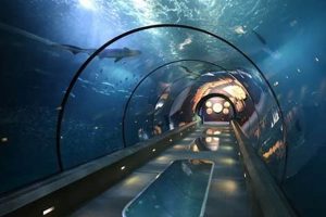 Oregon Coast Aquarium: Ticket Price Guide + Deals Safem Fabrication - Precision Engineering & Custom Manufacturing Solutions Oregon Coast Aquarium: Ticket Price Guide + Deals | Safem Fabrication - Precision Engineering & Custom Manufacturing Solutions