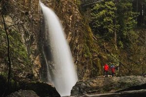Best Hiking Near Falls City Oregon: Trails & Tips Safem Fabrication - Precision Engineering & Custom Manufacturing Solutions Best Hiking Near Falls City Oregon: Trails & Tips | Safem Fabrication - Precision Engineering & Custom Manufacturing Solutions