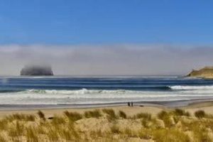 Watch Pacific City, Oregon Live Cam: Beach Views & More Safem Fabrication - Precision Engineering & Custom Manufacturing Solutions Watch Pacific City, Oregon Live Cam: Beach Views & More | Safem Fabrication - Precision Engineering & Custom Manufacturing Solutions