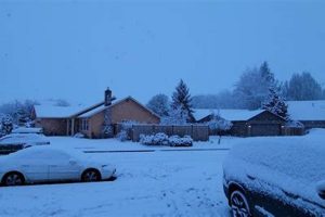 Eugene Oregon Snow: Your Winter Guide & Tips Safem Fabrication - Precision Engineering & Custom Manufacturing Solutions Eugene Oregon Snow: Your Winter Guide & Tips | Safem Fabrication - Precision Engineering & Custom Manufacturing Solutions