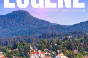 Current Time in Eugene, Oregon: Local Clock & Info Safem Fabrication - Precision Engineering & Custom Manufacturing Solutions Current Time in Eugene, Oregon: Local Clock & Info | Safem Fabrication - Precision Engineering & Custom Manufacturing Solutions