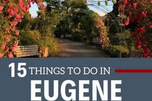 Your Guide to Eugene Oregon Events: Happenings & More Safem Fabrication - Precision Engineering & Custom Manufacturing Solutions Your Guide to Eugene Oregon Events: Happenings & More | Safem Fabrication - Precision Engineering & Custom Manufacturing Solutions