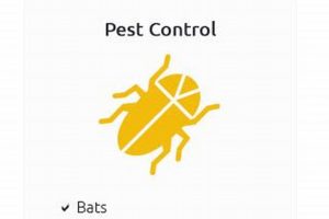 Local Pest Control Eugene Oregon: Expert Solutions Safem Fabrication - Precision Engineering & Custom Manufacturing Solutions Local Pest Control Eugene Oregon: Expert Solutions | Safem Fabrication - Precision Engineering & Custom Manufacturing Solutions