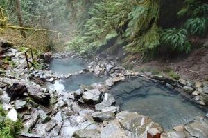 Eugene's Steamy Escape: Hot Springs Near Eugene, Oregon Oasis Safem Fabrication - Precision Engineering & Custom Manufacturing Solutions Eugene's Steamy Escape: Hot Springs Near Eugene, Oregon Oasis | Safem Fabrication - Precision Engineering & Custom Manufacturing Solutions