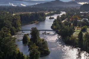 Living in Hamilton, Eugene Oregon: Your Guide Safem Fabrication - Precision Engineering & Custom Manufacturing Solutions Living in Hamilton, Eugene Oregon: Your Guide | Safem Fabrication - Precision Engineering & Custom Manufacturing Solutions