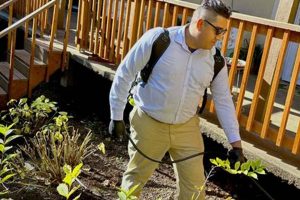Pest Control Salem Oregon Safem Fabrication - Precision Engineering & Custom Manufacturing Solutions Pest Control Salem Oregon | Safem Fabrication - Precision Engineering & Custom Manufacturing Solutions