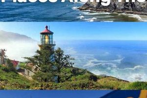 Explore Oregon Coast Must-See Attractions + Hidden Gems! Safem Fabrication - Precision Engineering & Custom Manufacturing Solutions Explore Oregon Coast Must-See Attractions + Hidden Gems! | Safem Fabrication - Precision Engineering & Custom Manufacturing Solutions