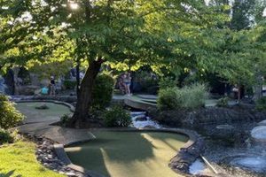 Salem Oregon Mini Golf Safem Fabrication - Precision Engineering & Custom Manufacturing Solutions Salem Oregon Mini Golf | Safem Fabrication - Precision Engineering & Custom Manufacturing Solutions