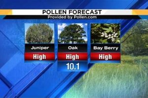 Pollen Count For Salem Oregon Safem Fabrication - Precision Engineering & Custom Manufacturing Solutions Pollen Count For Salem Oregon | Safem Fabrication - Precision Engineering & Custom Manufacturing Solutions