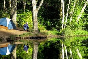 Camping Near Salem Oregon Safem Fabrication - Precision Engineering & Custom Manufacturing Solutions Camping Near Salem Oregon | Safem Fabrication - Precision Engineering & Custom Manufacturing Solutions