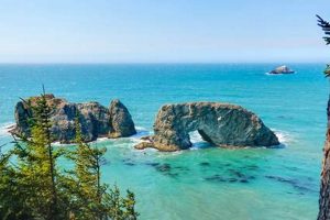 Discover Oregon Coast Hikes: Trails & Views Guide Safem Fabrication - Precision Engineering & Custom Manufacturing Solutions Discover Oregon Coast Hikes: Trails & Views Guide | Safem Fabrication - Precision Engineering & Custom Manufacturing Solutions