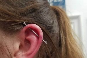 Body Piercing Salem Oregon Safem Fabrication - Precision Engineering & Custom Manufacturing Solutions Body Piercing Salem Oregon | Safem Fabrication - Precision Engineering & Custom Manufacturing Solutions