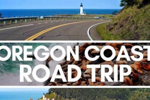 Epic Oregon Coast Driving Trip: Guide + Must-Sees! Safem Fabrication - Precision Engineering & Custom Manufacturing Solutions Epic Oregon Coast Driving Trip: Guide + Must-Sees! | Safem Fabrication - Precision Engineering & Custom Manufacturing Solutions