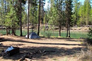 Your Bull Bend Campground Oregon Adventure Awaits! Safem Fabrication - Precision Engineering & Custom Manufacturing Solutions Your Bull Bend Campground Oregon Adventure Awaits! | Safem Fabrication - Precision Engineering & Custom Manufacturing Solutions