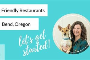 Best Dog Friendly Restaurants in Bend, OR: Guide Safem Fabrication - Precision Engineering & Custom Manufacturing Solutions Best Dog Friendly Restaurants in Bend, OR: Guide | Safem Fabrication - Precision Engineering & Custom Manufacturing Solutions