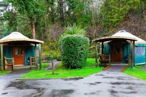 Escape to Oregon Coast Yurts: Your Coastal Getaway Safem Fabrication - Precision Engineering & Custom Manufacturing Solutions Escape to Oregon Coast Yurts: Your Coastal Getaway | Safem Fabrication - Precision Engineering & Custom Manufacturing Solutions