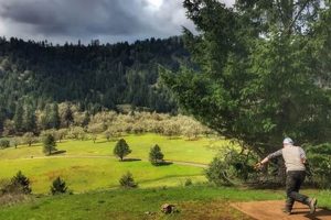 Whistlers Bend Oregon Safem Fabrication - Precision Engineering & Custom Manufacturing Solutions Whistlers Bend Oregon | Safem Fabrication - Precision Engineering & Custom Manufacturing Solutions