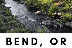 Pet Friendly Bend Oregon Safem Fabrication - Precision Engineering & Custom Manufacturing Solutions Pet Friendly Bend Oregon | Safem Fabrication - Precision Engineering & Custom Manufacturing Solutions