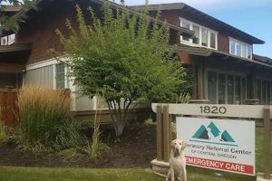 24/7 Emergency Vet Bend Oregon: Peace of Mind For Your Pet Safem Fabrication - Precision Engineering & Custom Manufacturing Solutions 24/7 Emergency Vet Bend Oregon: Peace of Mind For Your Pet | Safem Fabrication - Precision Engineering & Custom Manufacturing Solutions