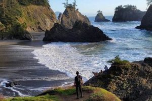 Top Oregon Coast Hikes: Discover the Best Trails! Safem Fabrication - Precision Engineering & Custom Manufacturing Solutions Top Oregon Coast Hikes: Discover the Best Trails! | Safem Fabrication - Precision Engineering & Custom Manufacturing Solutions