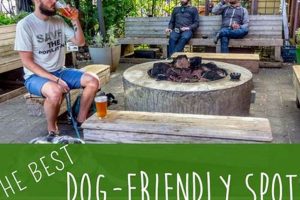 Find Pet Friendly Places to Stay on the Oregon Coast Guide Safem Fabrication - Precision Engineering & Custom Manufacturing Solutions Find Pet Friendly Places to Stay on the Oregon Coast Guide | Safem Fabrication - Precision Engineering & Custom Manufacturing Solutions