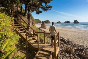 Best Hikes Along the Oregon Coast: Guide & Trails Safem Fabrication - Precision Engineering & Custom Manufacturing Solutions Best Hikes Along the Oregon Coast: Guide & Trails | Safem Fabrication - Precision Engineering & Custom Manufacturing Solutions