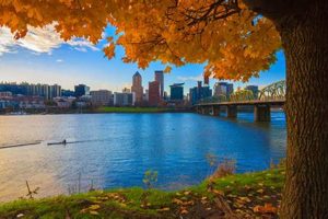 Best Portland Oregon Views: Scenic City Vistas Safem Fabrication - Precision Engineering & Custom Manufacturing Solutions Best Portland Oregon Views: Scenic City Vistas | Safem Fabrication - Precision Engineering & Custom Manufacturing Solutions