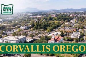 Trip from Corvallis Oregon to Portland Oregon: Guide & Tips Safem Fabrication - Precision Engineering & Custom Manufacturing Solutions Trip from Corvallis Oregon to Portland Oregon: Guide & Tips | Safem Fabrication - Precision Engineering & Custom Manufacturing Solutions