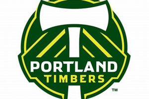 Pro & Amateur: Portland Oregon Sports Teams Guide Safem Fabrication - Precision Engineering & Custom Manufacturing Solutions Pro & Amateur: Portland Oregon Sports Teams Guide | Safem Fabrication - Precision Engineering & Custom Manufacturing Solutions